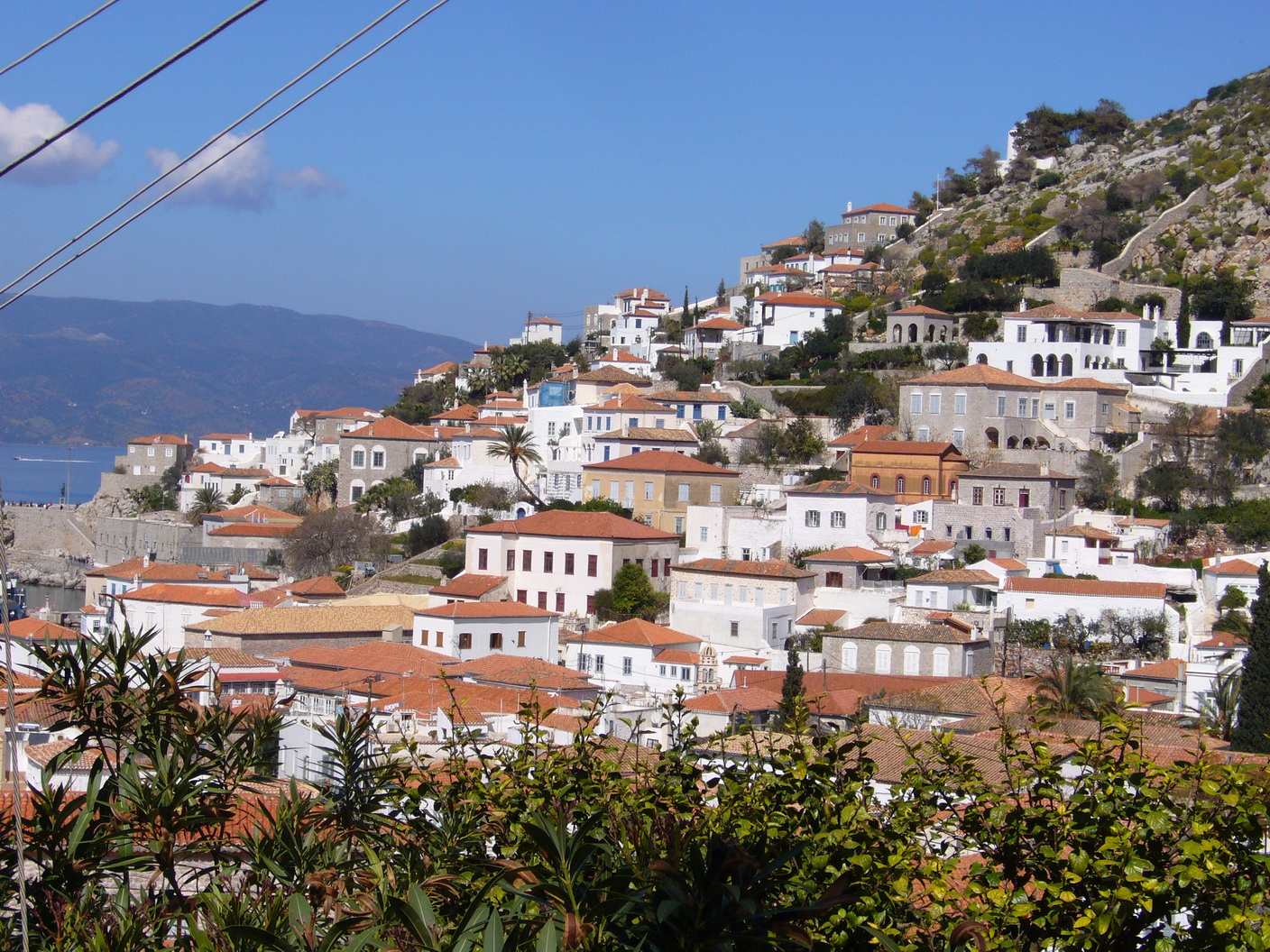 Hydra